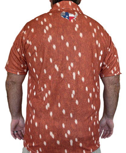 Axis Cape