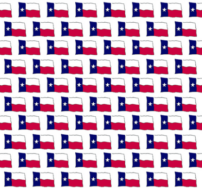 Texas Flag